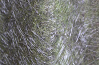 Croesyceiliog fibreglass roof work